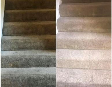 palmetto carpet care of beaufort, local carpet cleaner, before and after, carpet care services