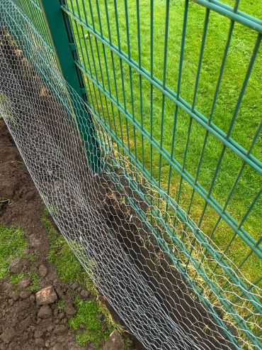 Green metal fence with chicken wire and freshly dug soil.