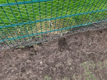 Green metal fence with wire mesh and soil bed.