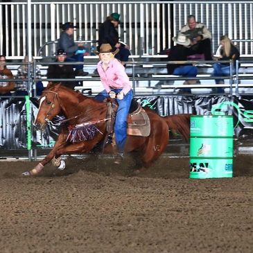 Happy Customer of Low Arrow Performance Horses