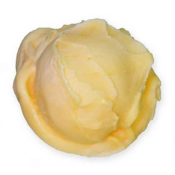 Scoop of passion fruit italian ice