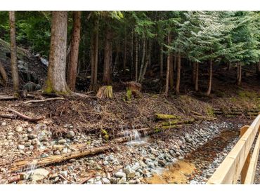 The view of the mountainside behind the Seasons.