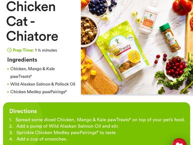 Pet Recipe for Chicken Cat Chiatore.
