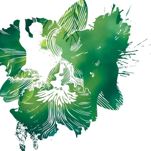 New Building Project