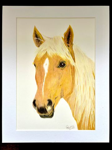 Realistic colored pencil drawing of a horse with light mane.