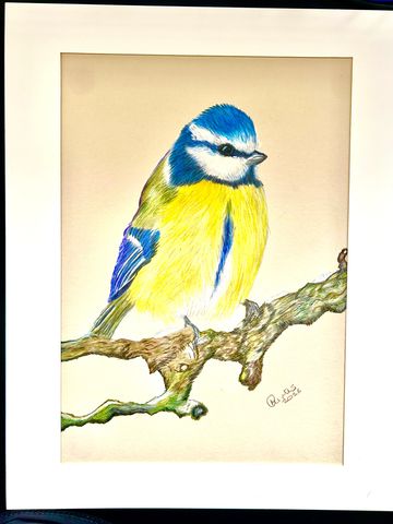 Vibrant colored bird perched on a branch in a detailed drawing.