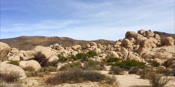 Giant heart shaped boulder at Joshua Tree National Park, White Tank Campground.  Photo by Kristi.