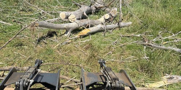 Skidsteer hauling away branches