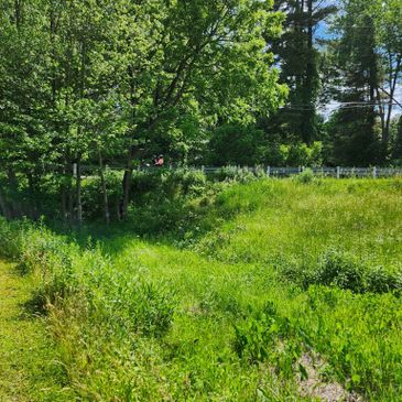 Lush green meadow with trees and a fence under a clear blue sky.