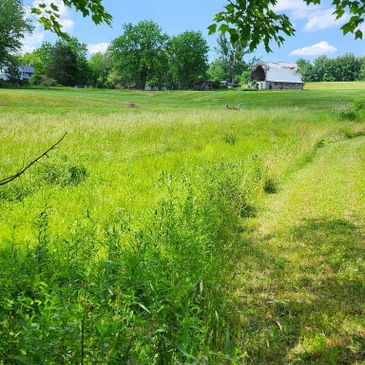 A lush green field with a white barn and trees under a blue sky.