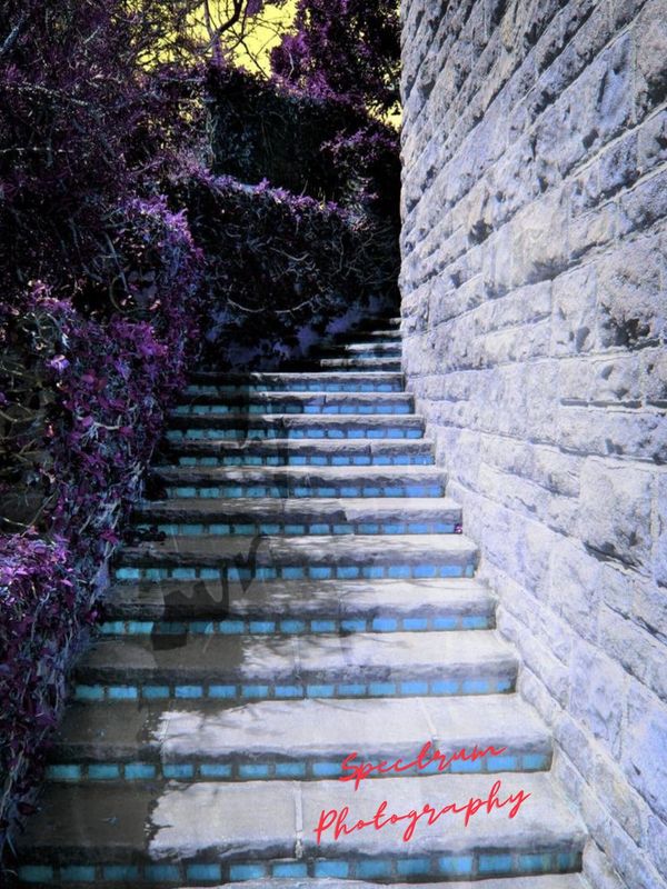Autism Spectrum Photo Etsy shop: Ann Kagarise
Through the lens