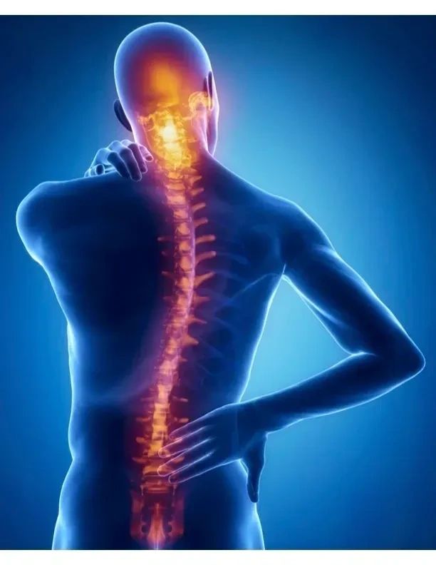 Person holding lower spine displaying back pain