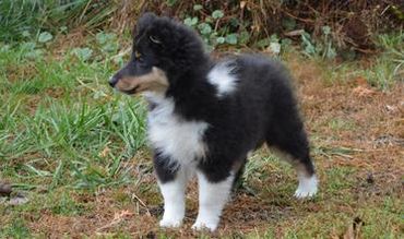 Flash our new tri boy to be a stud soon!