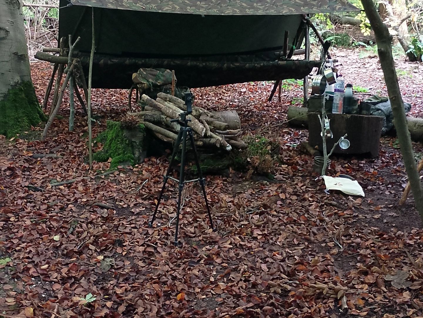 Our Camouflage Bivvy Ba, this is the technique of disguising something, typically an animal or milit
