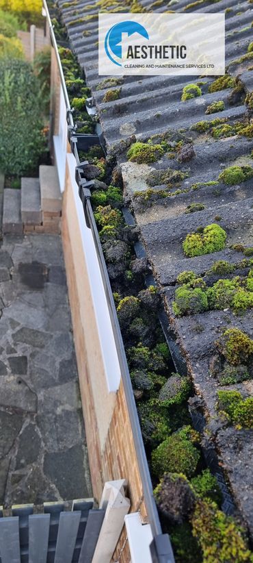 Moss falling into the gutter from the roof causing blockages. Gutter cleaning Rotherham