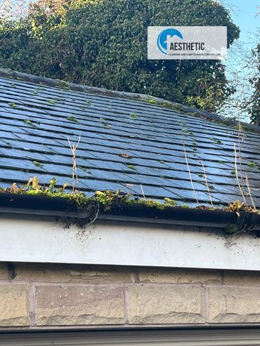 A gutter full of moss and debris ready for gutter cleaning Barnsley