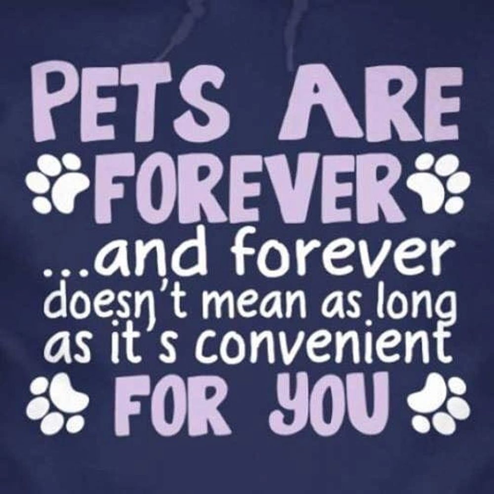 The homepage cover image reads: Pets are forever and forever doesn't mean as long as it's convenient