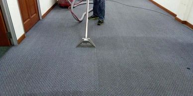 Carpet Cleaning Extraction