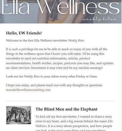 an image of a newsletter