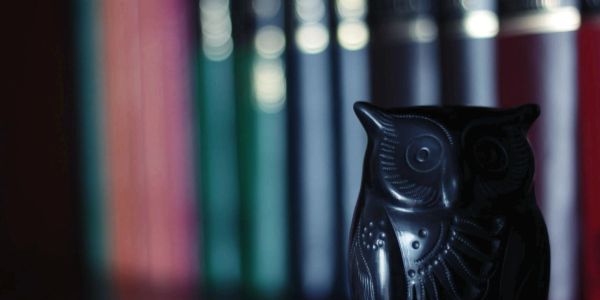 Figura de búho negro frente a libros desenfocados.