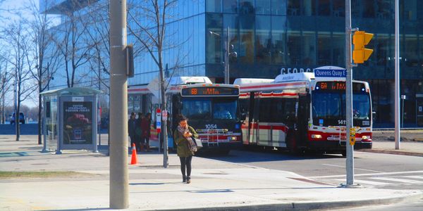 Toronto Transit Commission buses