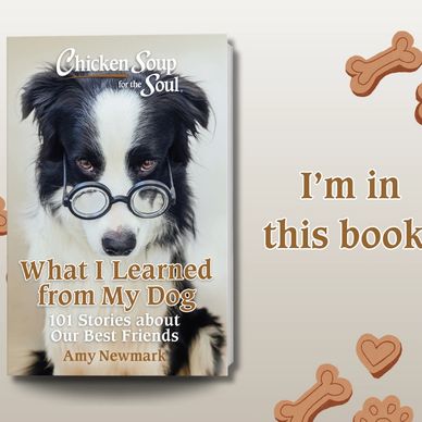 Book cover featuring a dog with glasses and text about learning from dogs.