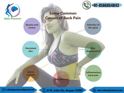 Beck Back Pain physio in Gurgaon