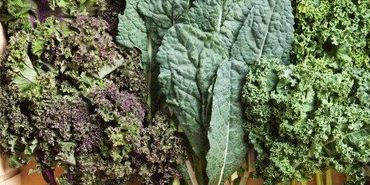 kale and greens