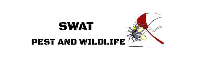 Swat pest and wildlife llc