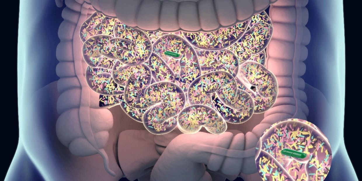 Small intestine endoscope chyme feces flora microflora large intestine stomach colon ileum jejunum