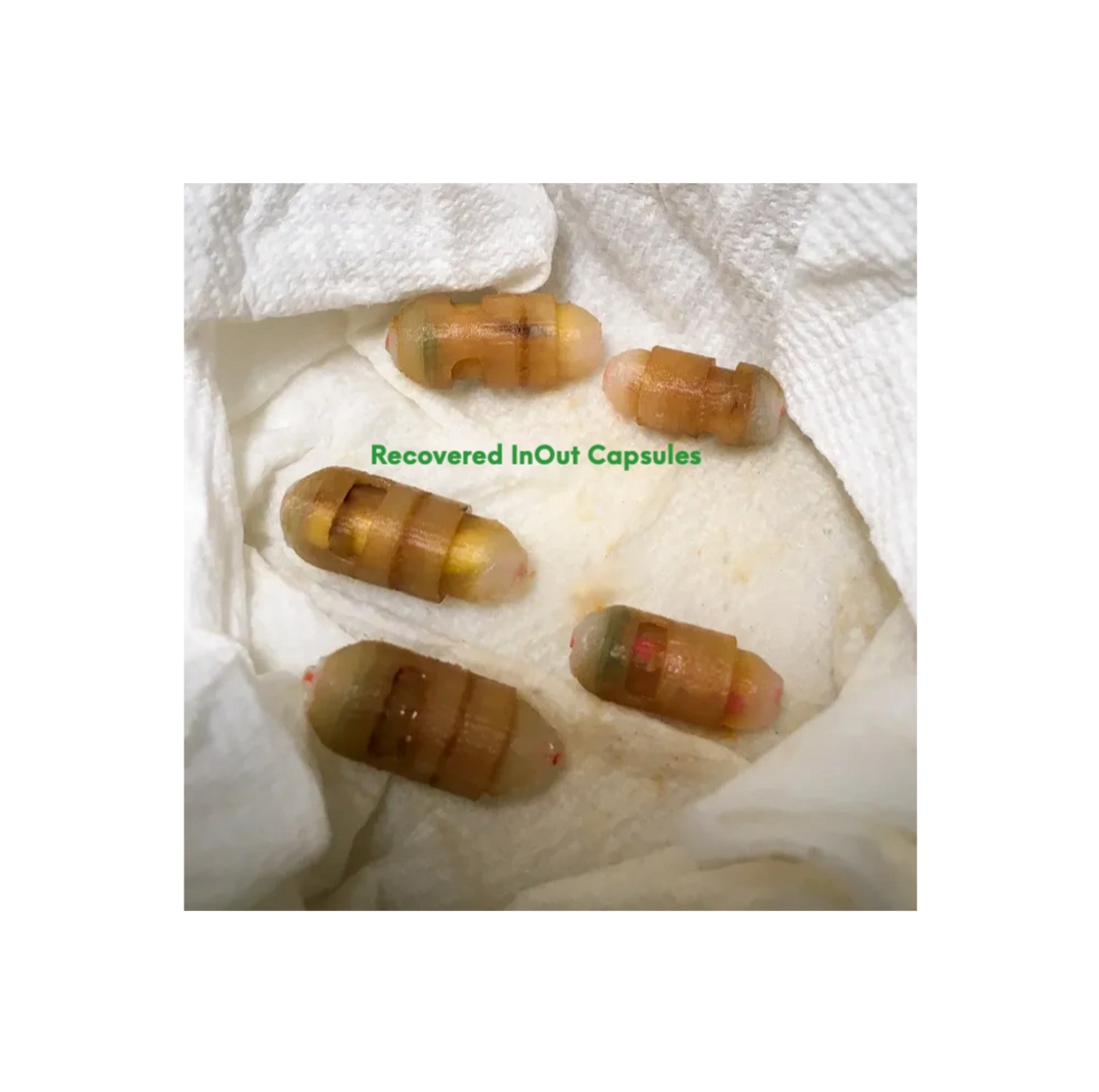 Recovered InOut Capsules