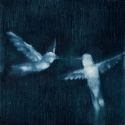 Two hummingbirds in a blurry, dark blue image.