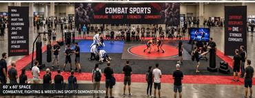 Concept rendering of a combat sports zone featuring wrestling, martial arts and boxing demonstration