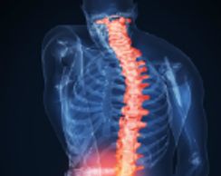 Bioidentical Hormone Replacement Therapy (BHRT), Pain, or TBI Treatment to reclaim your life.