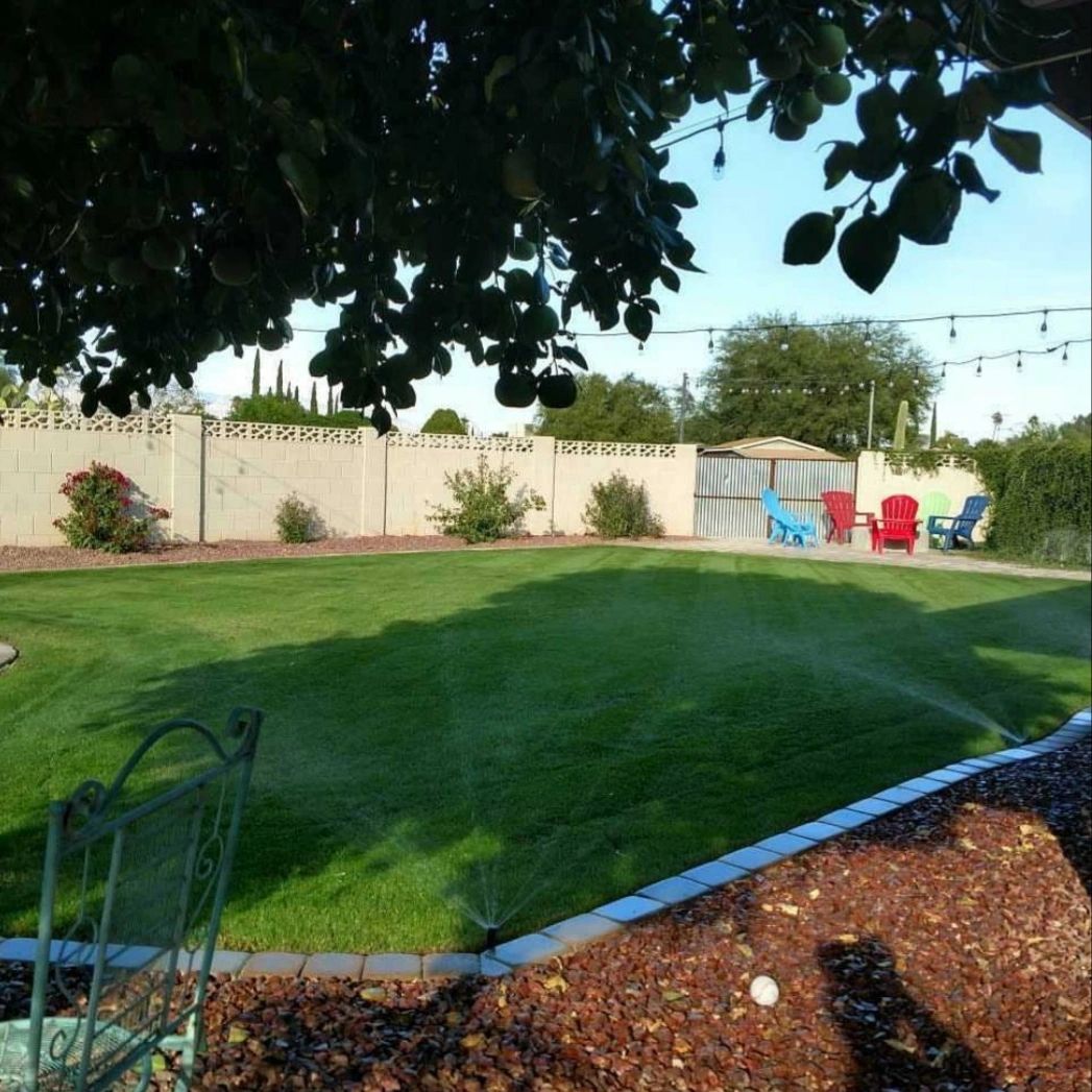 Poppy Yard Solutions Tucson Landscaping, Weed Control Poppy Yard Solutions