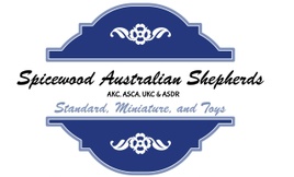 Spicewood Shepherds