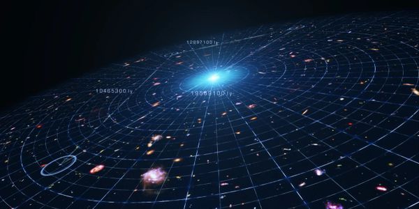 The organized web of the universe