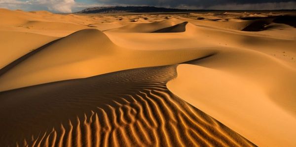 More stars in the universe then grains of sand on earth