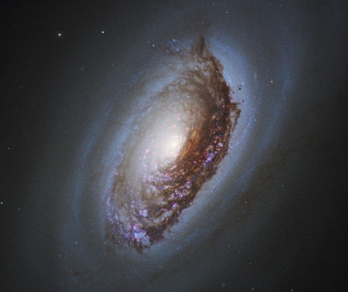 Black Eye Galaxy, identified by the spectacular band of absorbing dust resembling a black eye