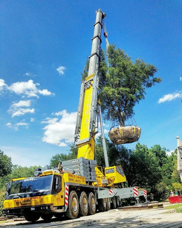 dallas ft worth irving TX crane service crane rental 24 hr emergency
