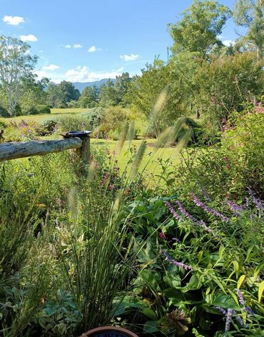 Garden in Kangaroo Valley, NSW South Coast, Yuin Country
