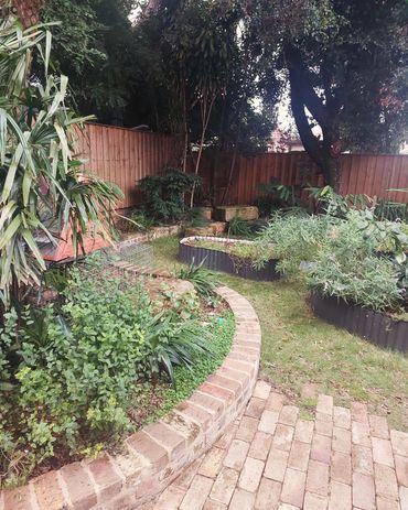 Raised garden beds for this permaculture inspired garden in Sydney's Inner West - complete with Indi