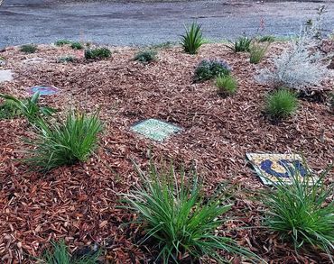KU Preschool Communty Growing and Mini Bushwalk Garden