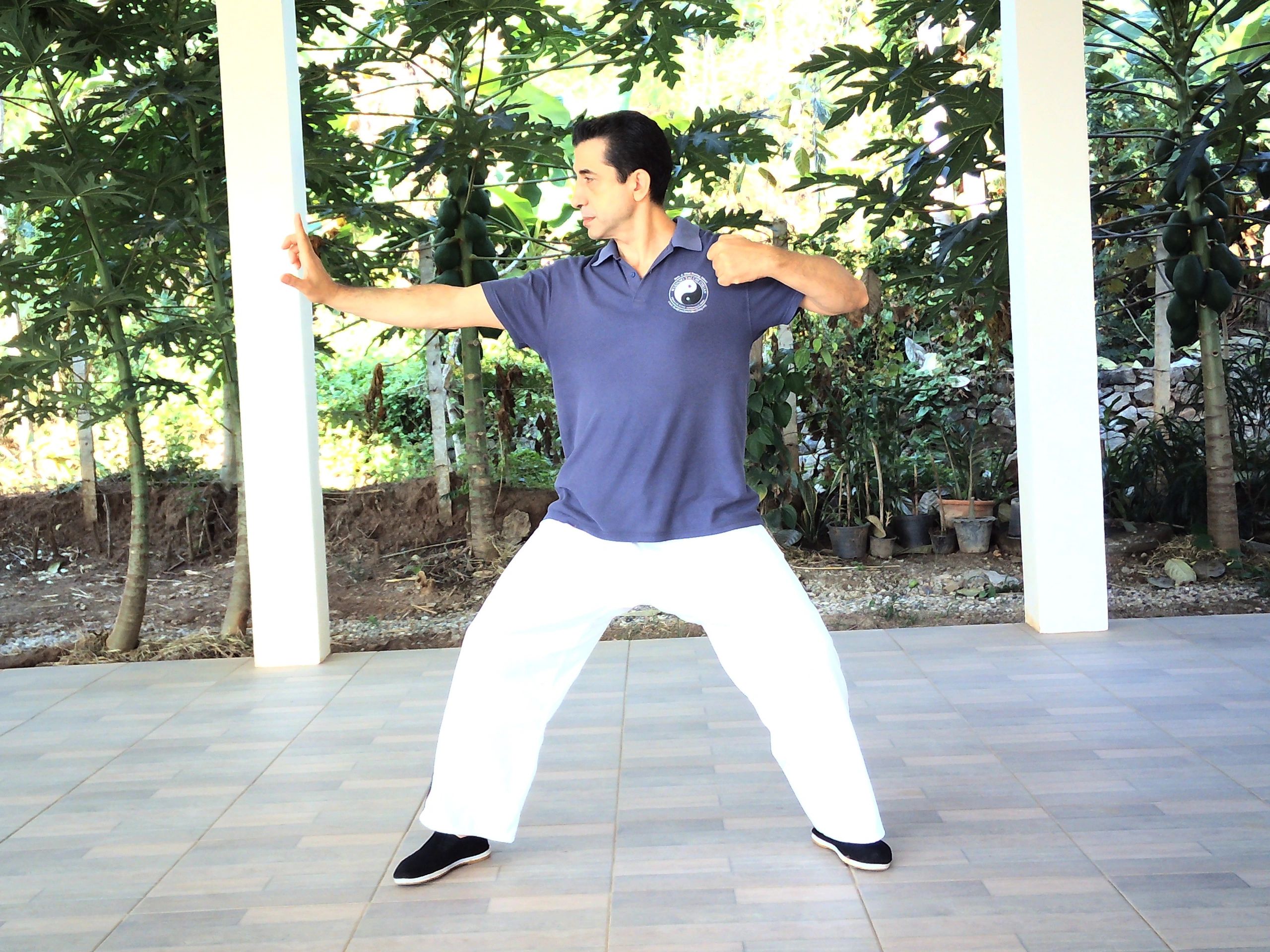 Qigong at Body and Mind Healing Chiang Mai Thailand. Chi Kung Healing 5 Day courses.