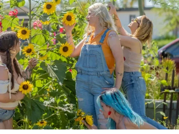 Four women enjoying and picking sunflowers on a sunny day.