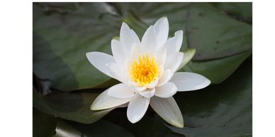 Are you ready to open up to possibilities and potential of who you are?