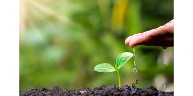 Are you ready to start afresh and plant new beliefs?