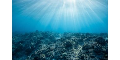 Within you is an all-knowing presence. Discover the light within that can never be diminished