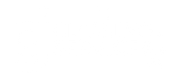 BGI CLEANING SERVICES