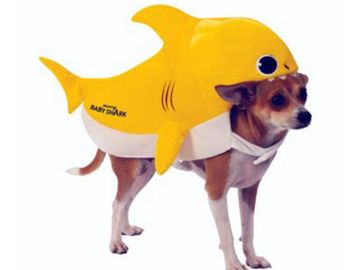 Baby Shark costume for dogs or other pets, yellow cartoon shark.